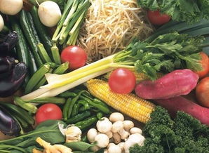 蔬菜價格加速回落，豬肉價格平穩——食用農產品批發市場動態分析