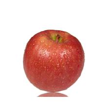 食用農產品市場全景 從蘋果種植到批發終端的產業鏈剖析